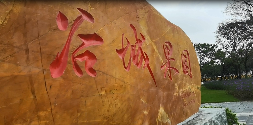 谷城礦業(yè)直播：走進(jìn)“谷城果園”！